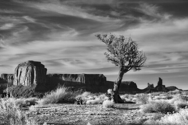 stacy yovish phoenix arizona